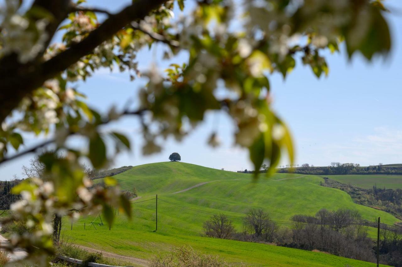 ブオンコンヴェント Fattoria Pieve A Saltiヴィラ エクステリア 写真